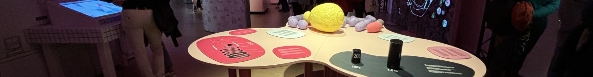 Microbiote au Grand Hôtel Dieu : l’expo qui ne manque pas de selles